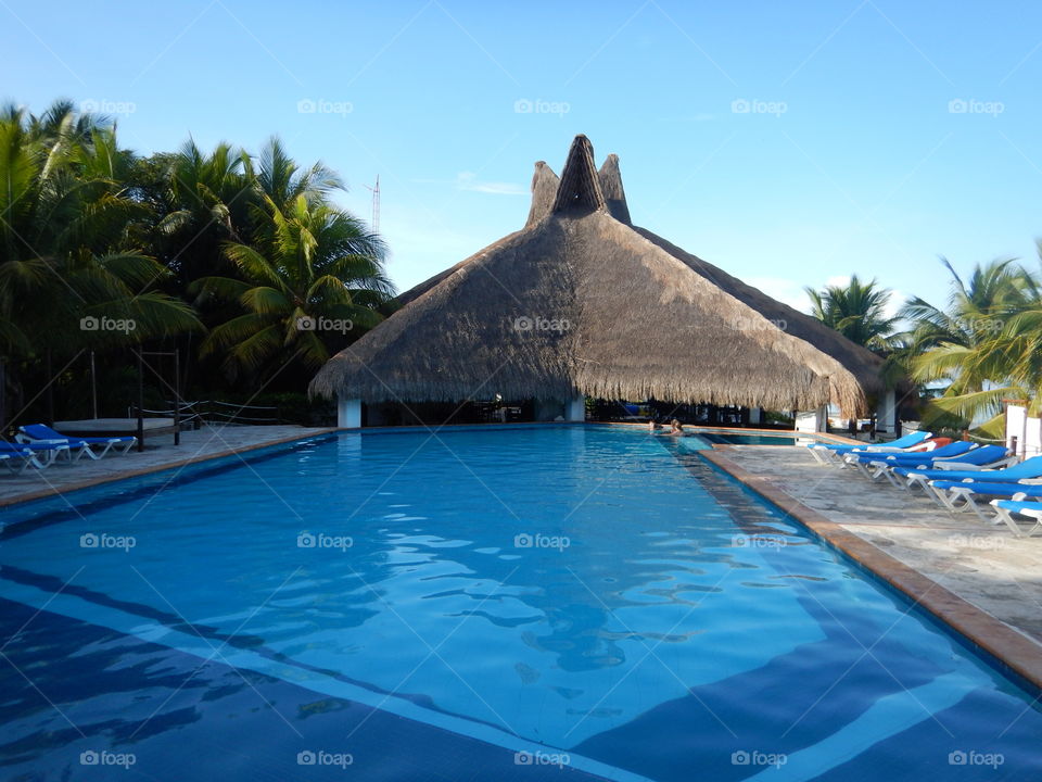 Let The Vacation Begin