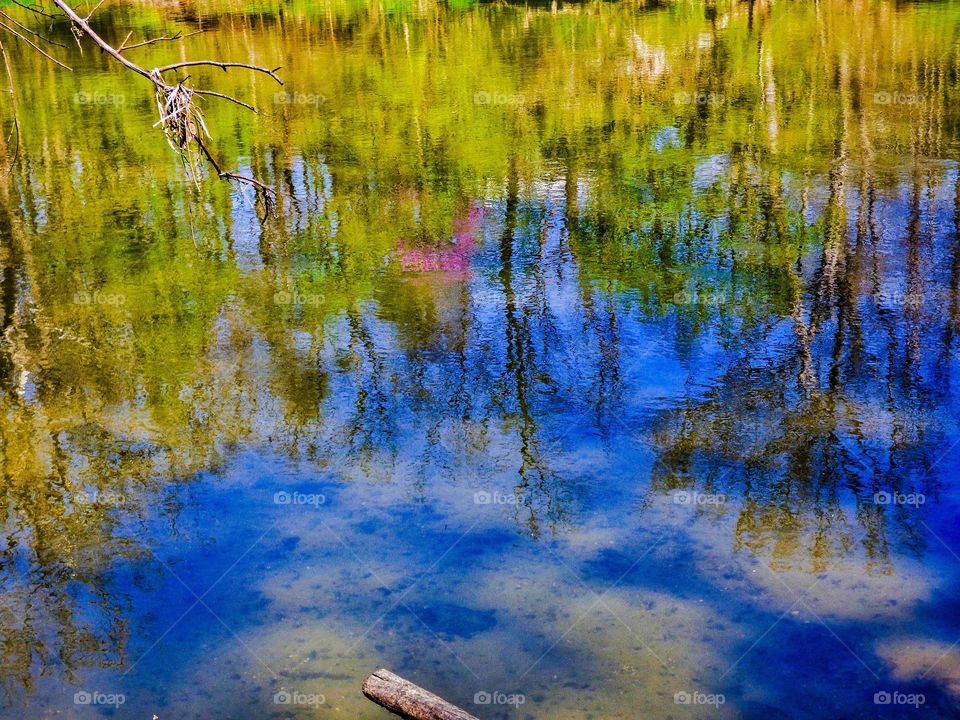 Beautiful river in spring