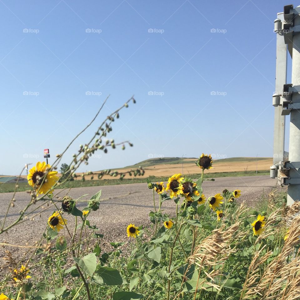 Sky, No Person, Agriculture, Industry, Nature