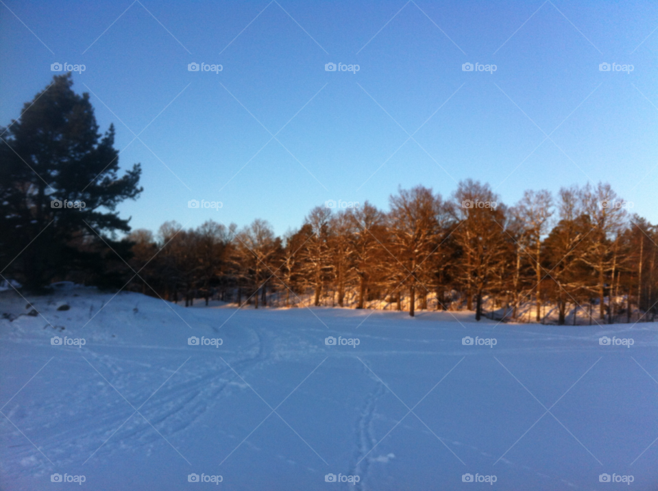 snow winter trees blue sky by marit.anteskog