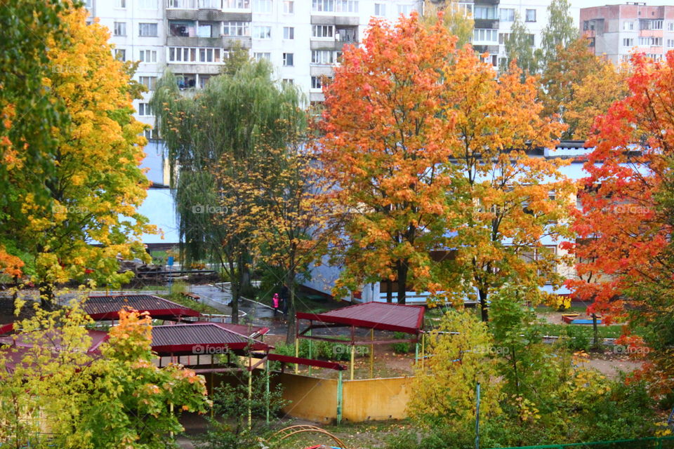 autumn landscape