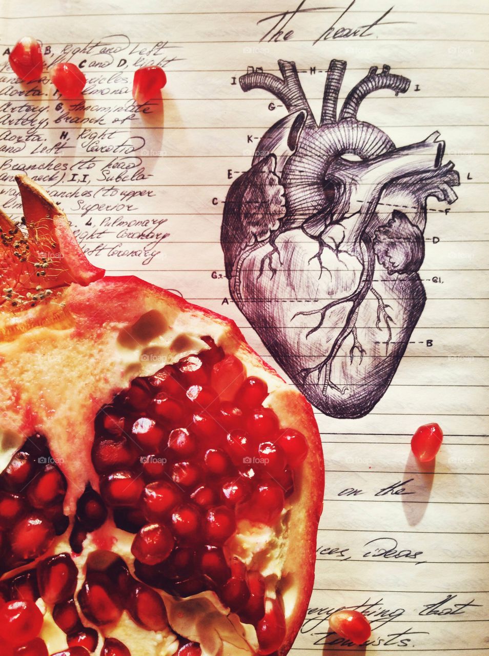 Pomegranate and 'heart' for breakfast . Sketch and fruit 
