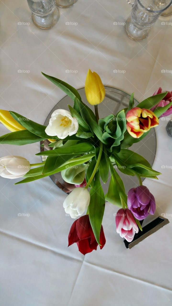 tulips. a beautiful vase of tulips