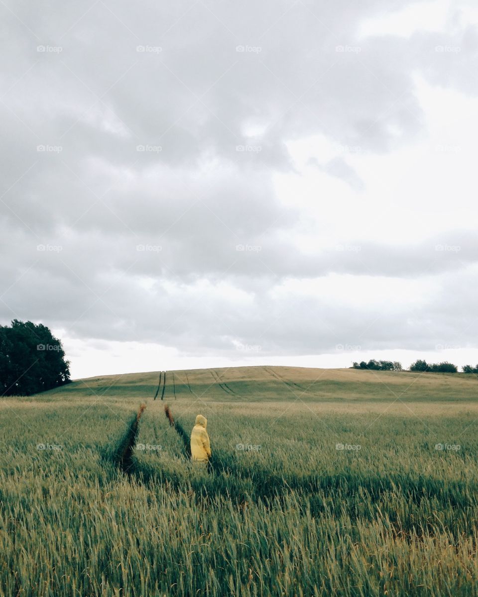 A person on wheat fields