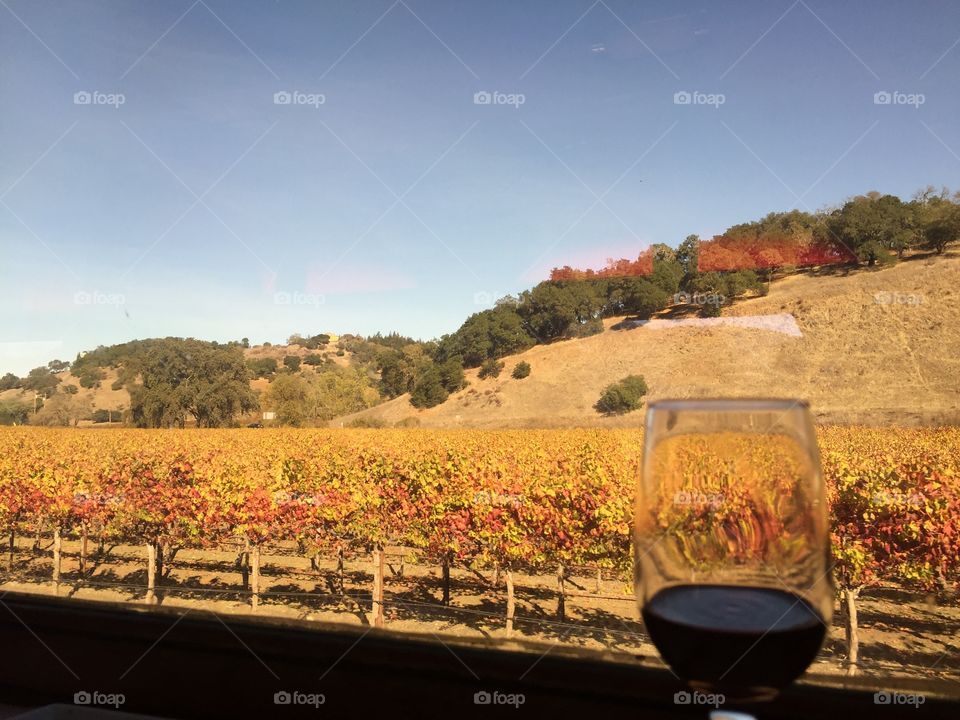 Red Wine Winetrain Napa Valley
