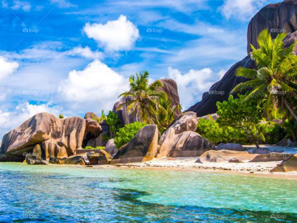 The Beautiful Nature Vibes