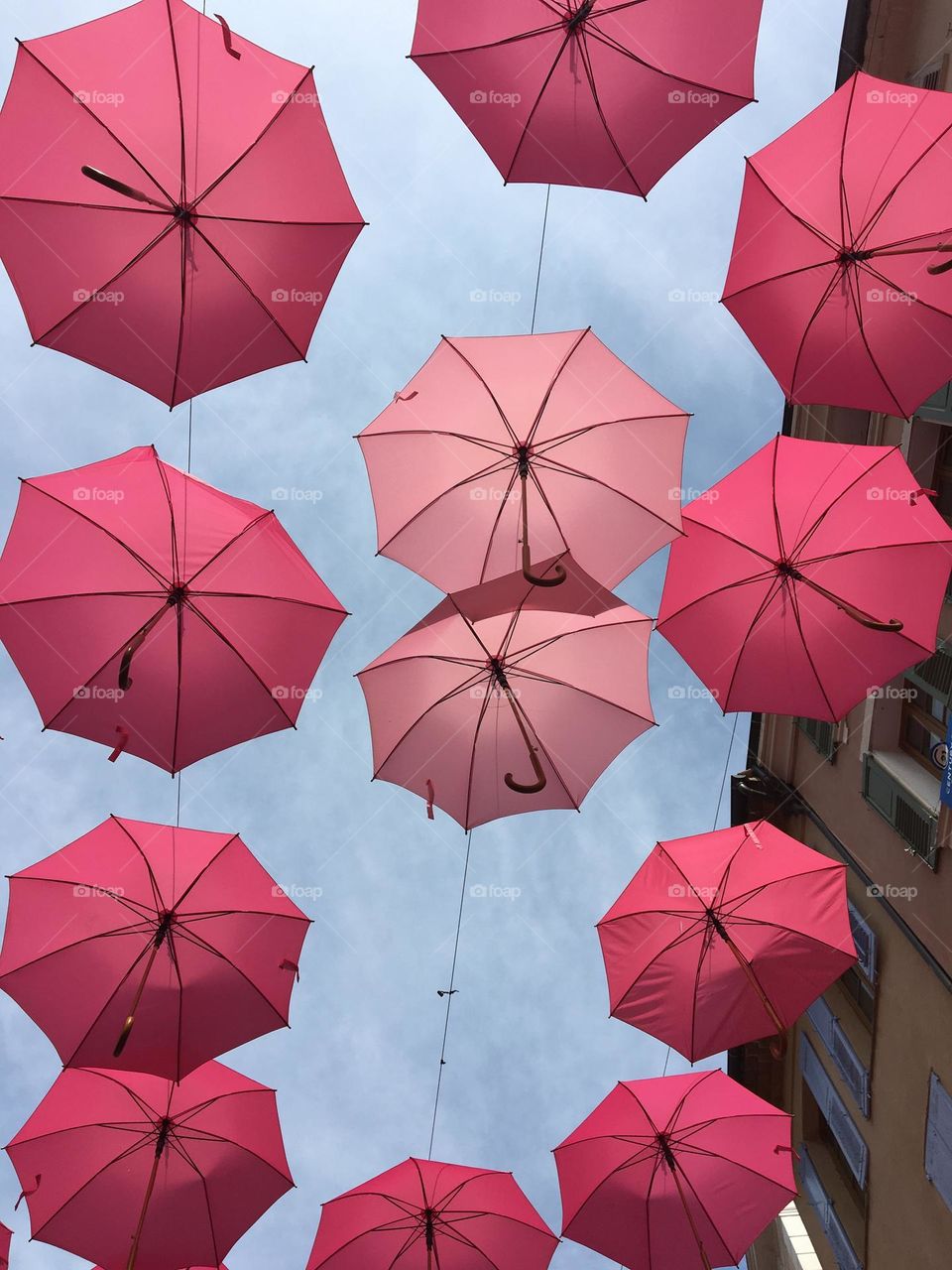 Lines of pinky umbrellas again sun in a street from the ground