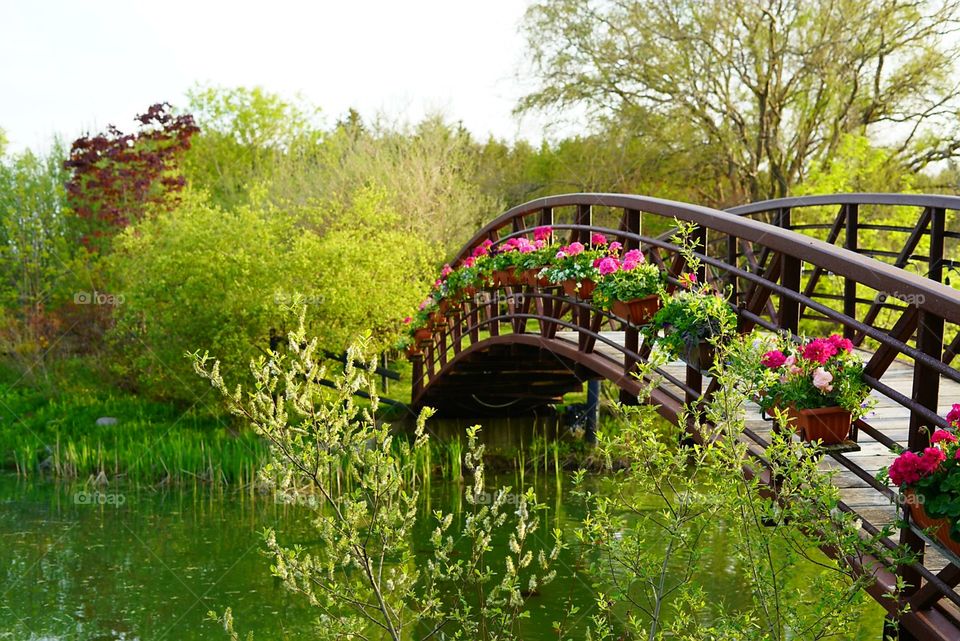 Bridge with flowers