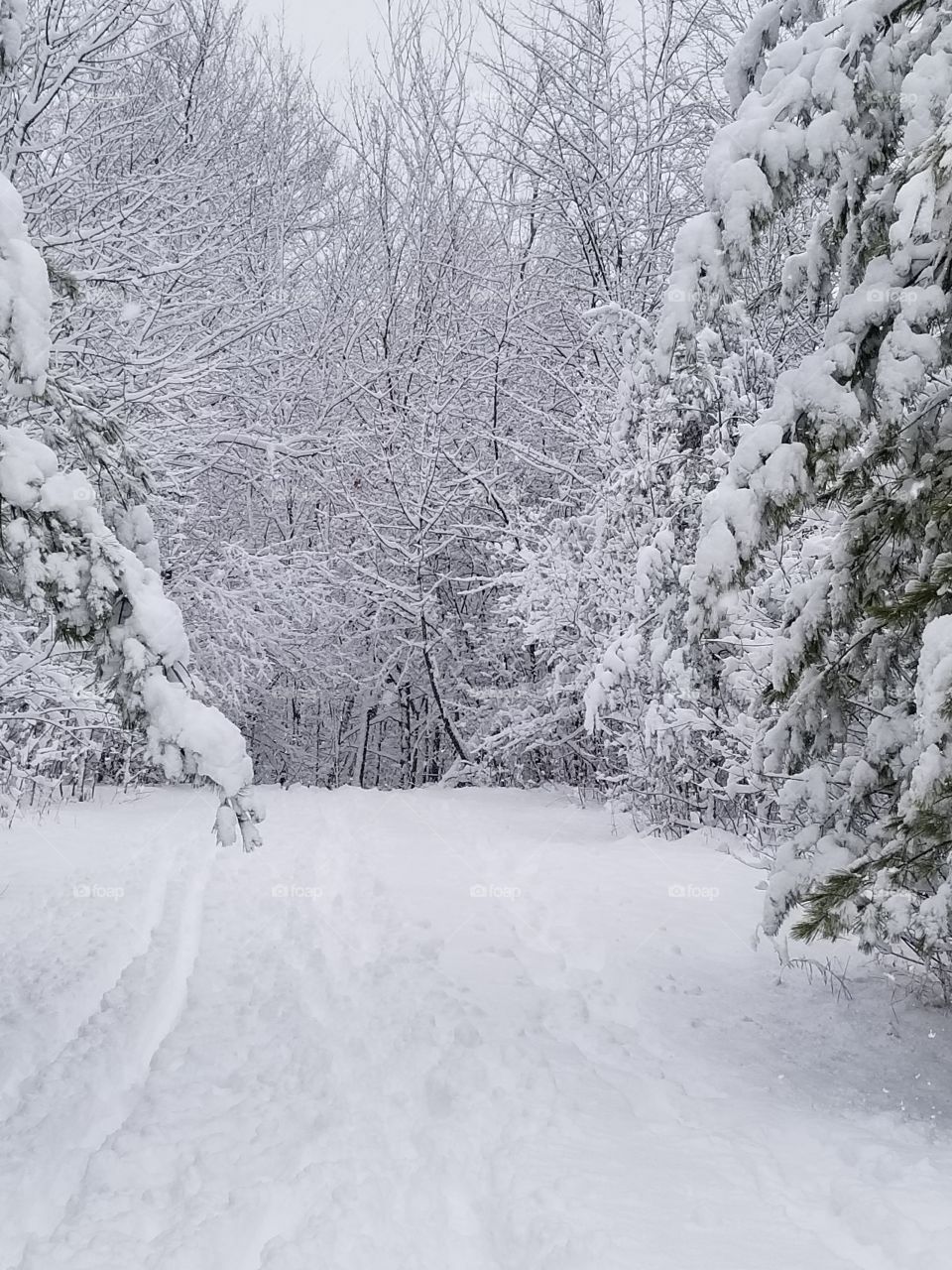 Snowy road