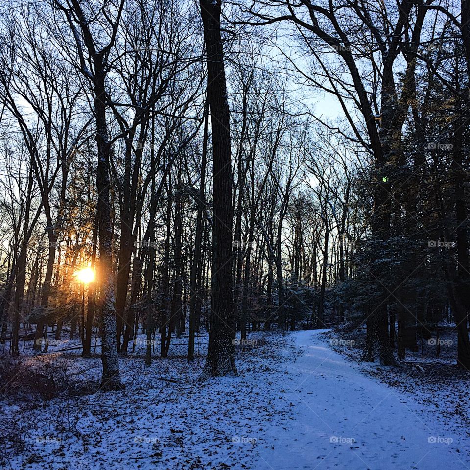 I'm reminded every day that I run here how nature has changed me. Nature truly is my religion. 