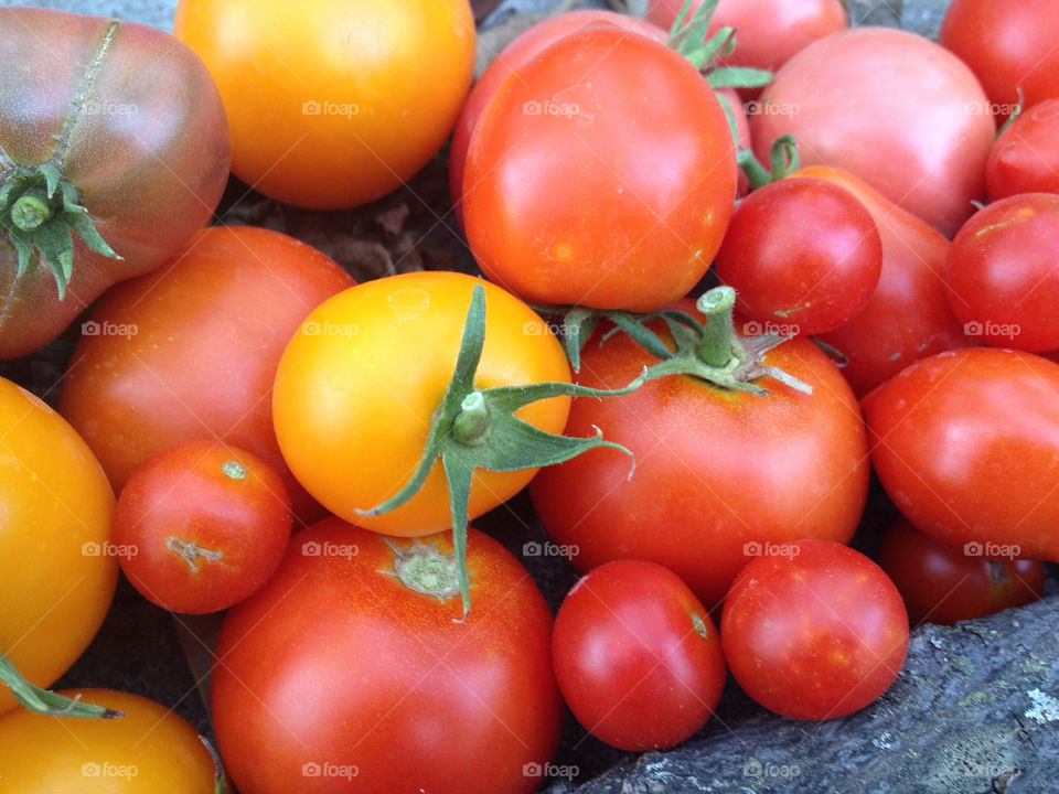 garden yellow red food by leanderthal