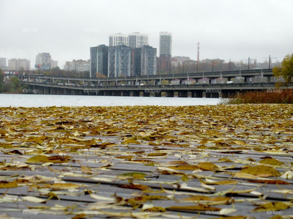 park in the city of Voronezh after the rain, the bridge across the river