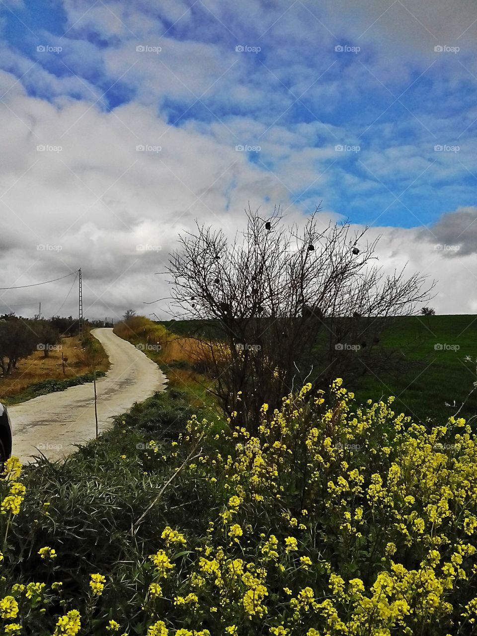 Exploring Andalucian beauty . Exploring Andalucian beauty 