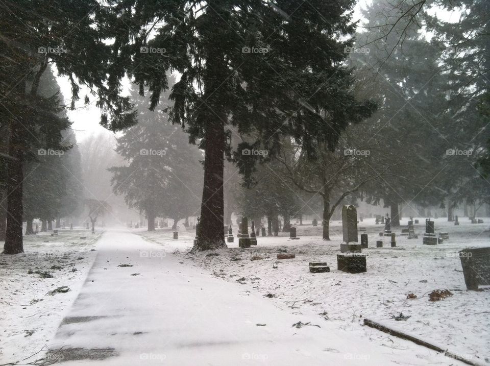 Portland cemetery in snow