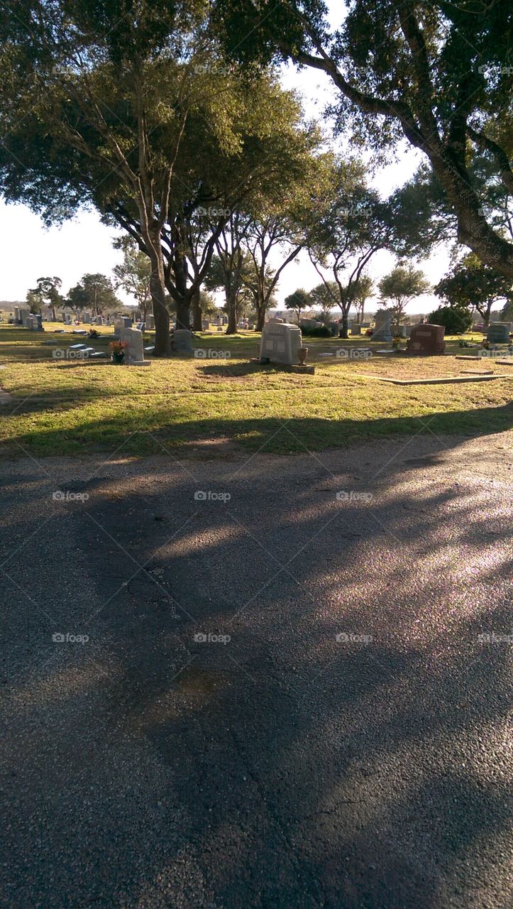 Cemetery in Weimar ,TX.