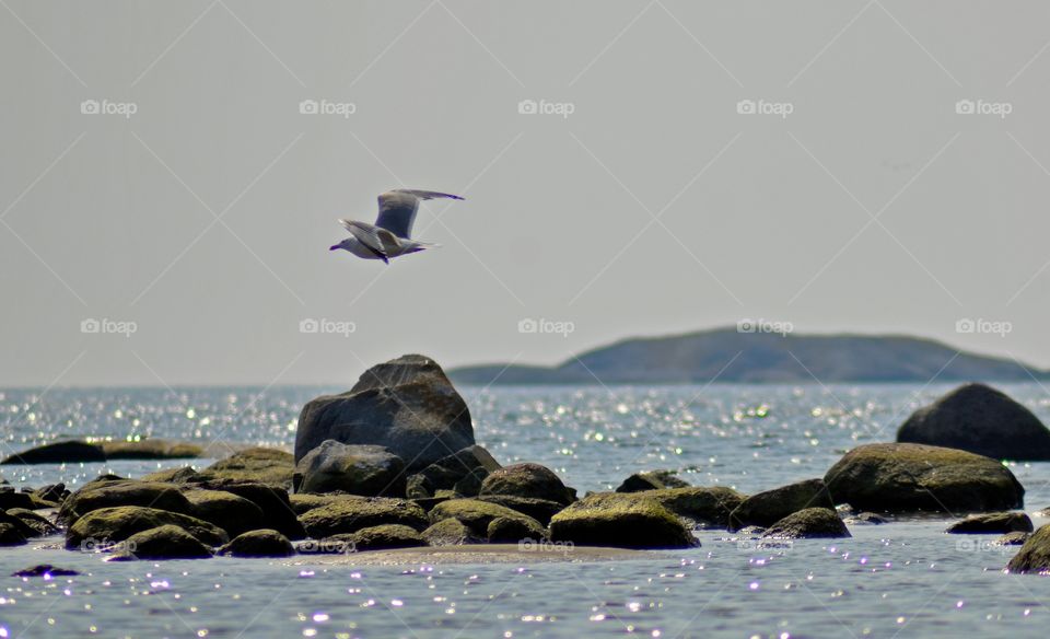 Sunny summer by the sea