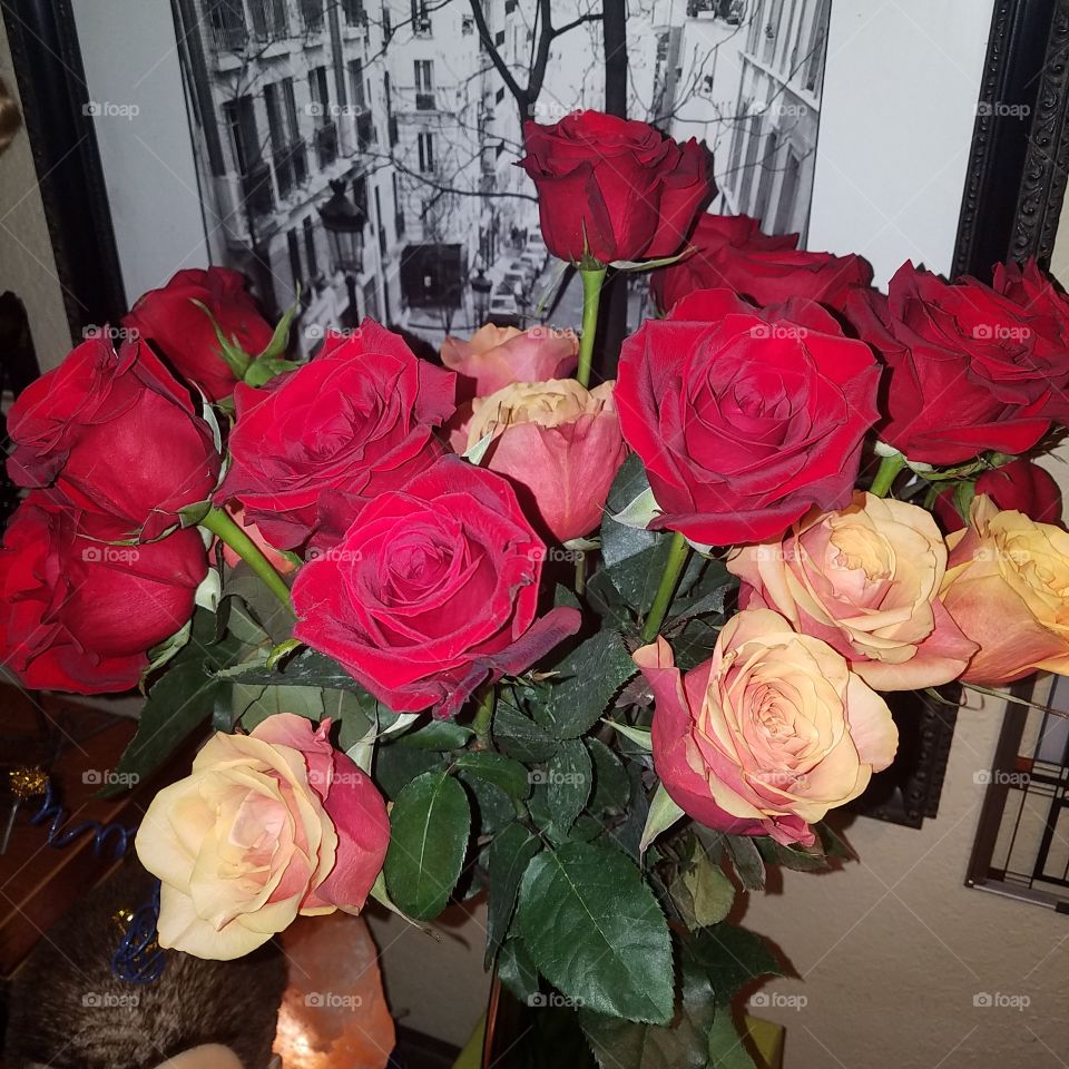 ruby red roses and cherry bomb orange roses
