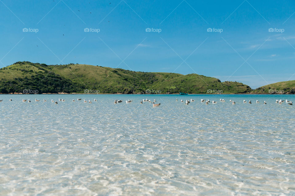 Praia com paisagem linda e fantástica no Brasil, na região do Lagos no Rio de Janeiro, em Búzios. Uma ilha incrível de conhecer!