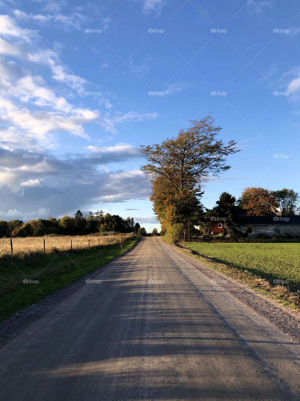 Countryside road in autumn dusk