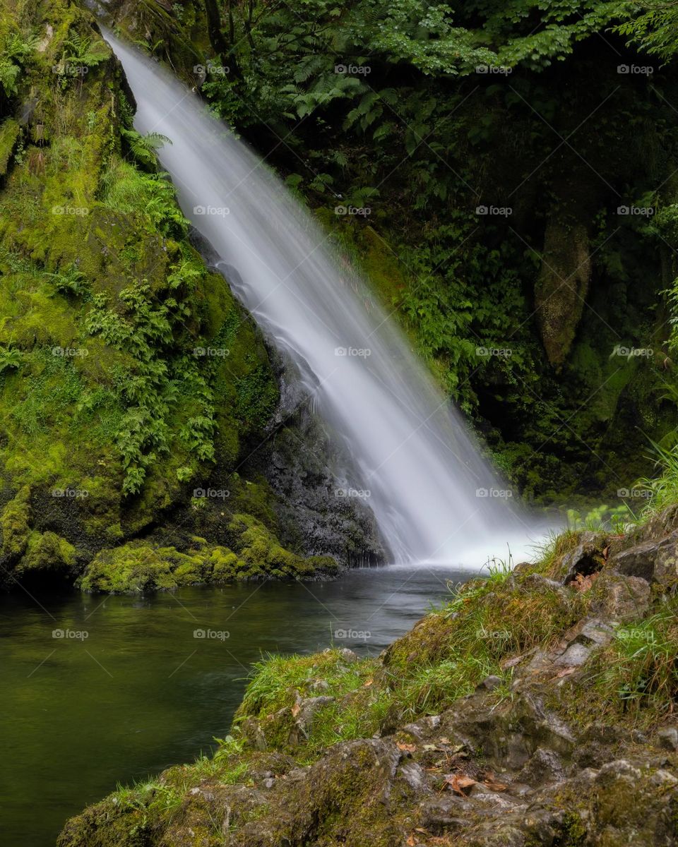 Waterfall flowing through a lush green forest with moss and foliage surrounding the scene