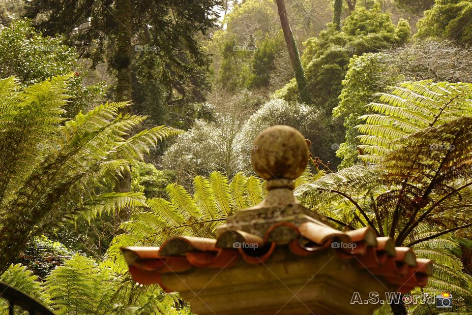 A beautiful scenery of nature in Sintra Portugal
