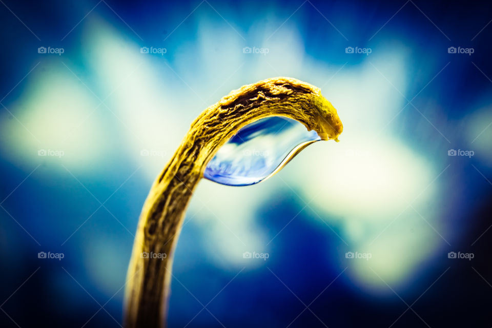 shape of water drops