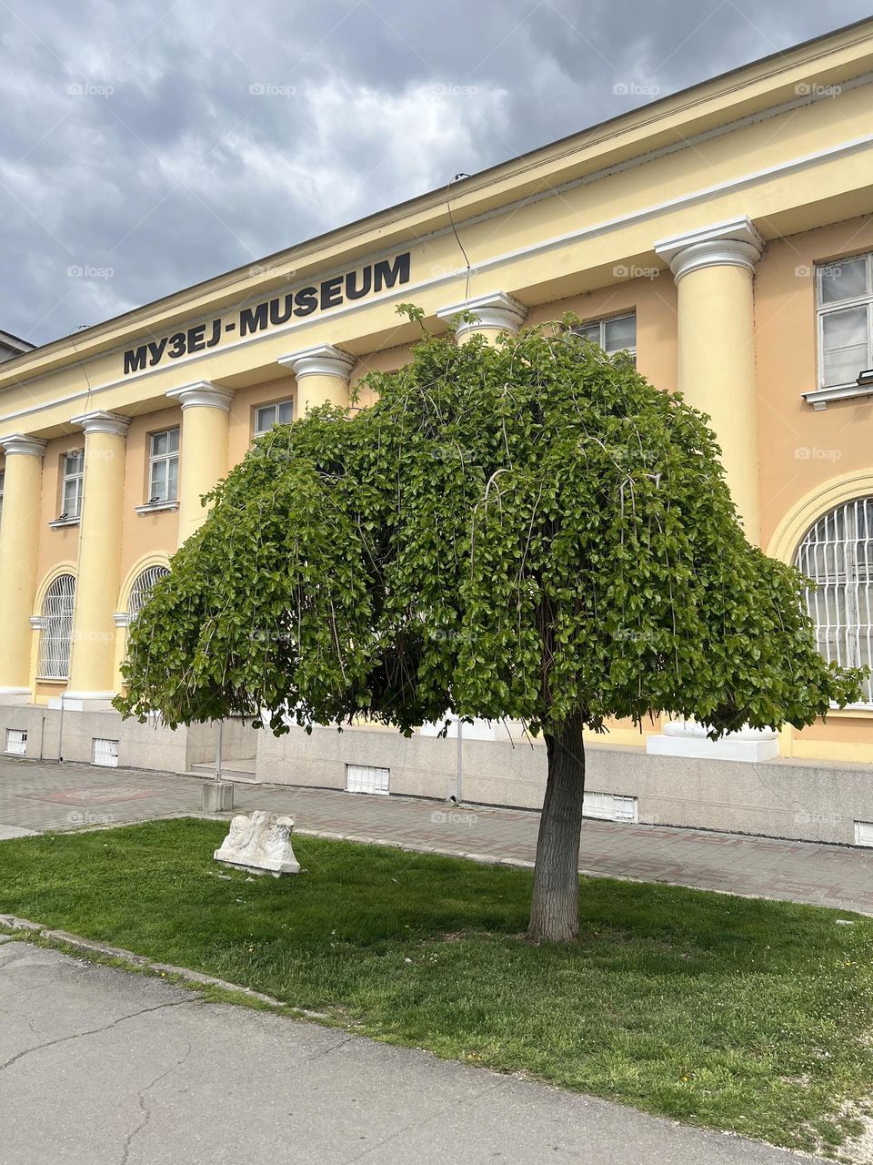 Tree-park,sity-museum