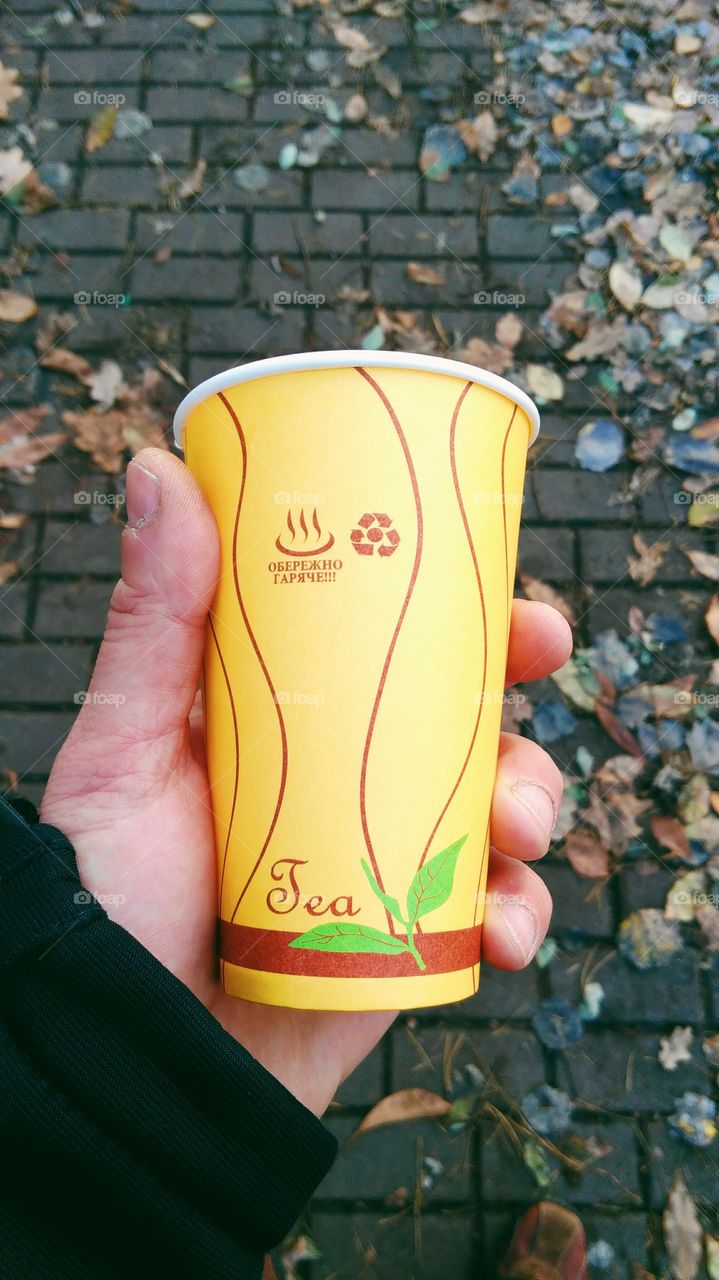 in the hands of the tea paper cup