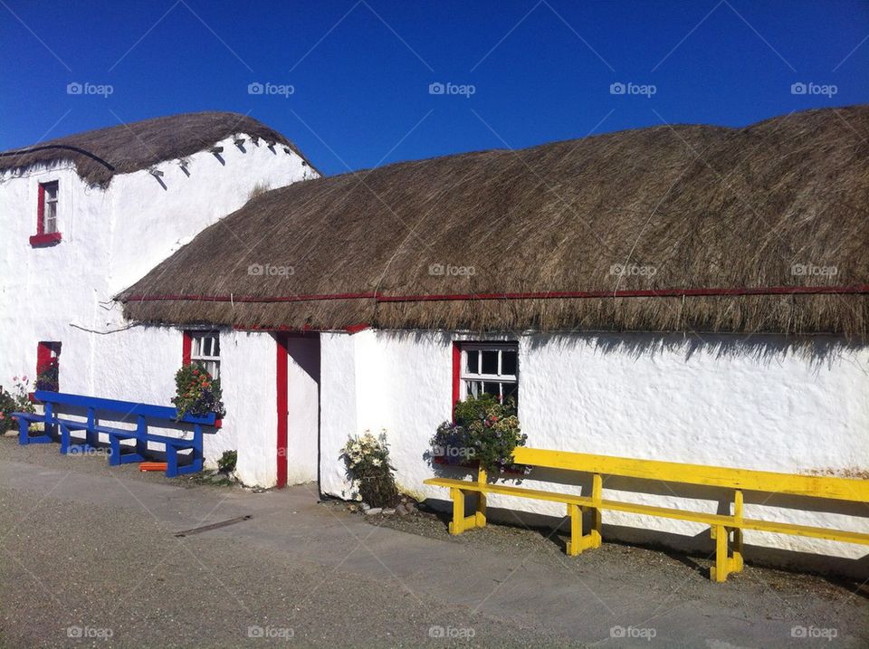 Thatch Roof House