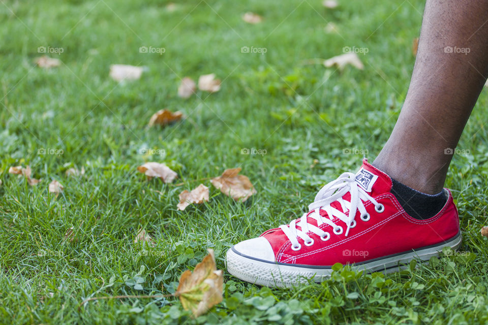 Red sneakers on green grass