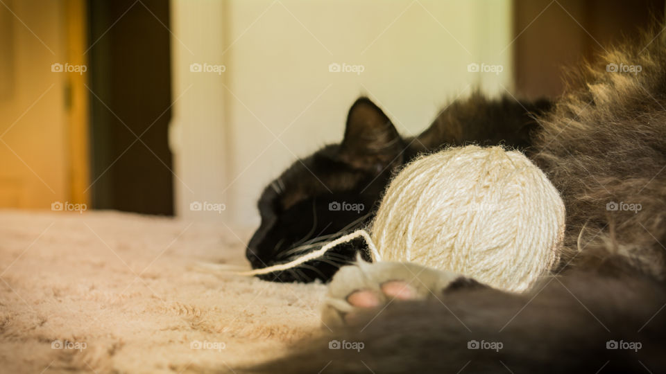 After playing it comes the rest