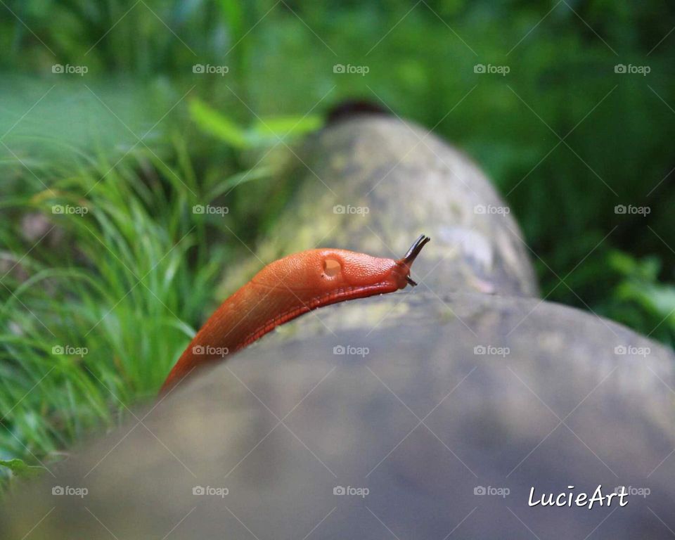 always take your time, slowly...