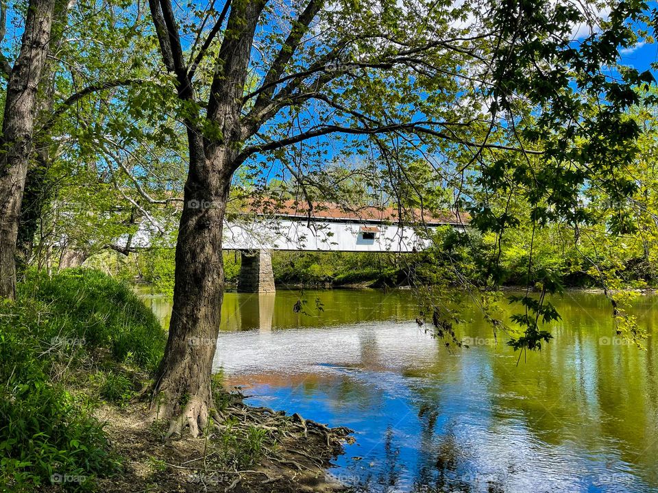 Beautiful spring day at potters bridge park in indiana on the white river 