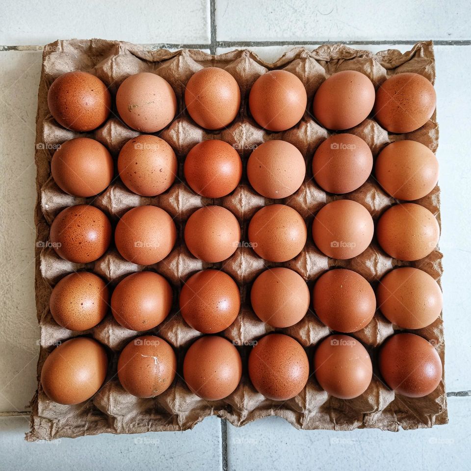 Chicken eggs on the shelf.