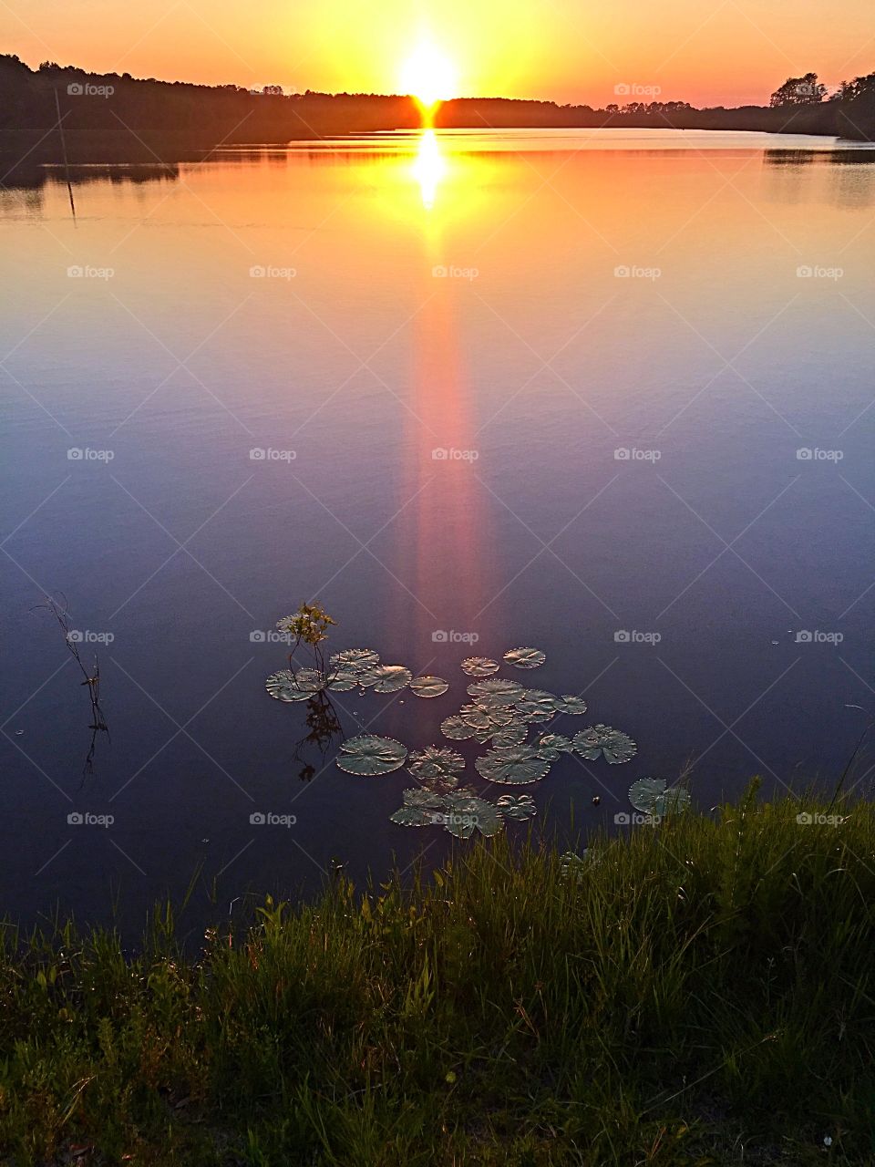 Evening Walk by the Water