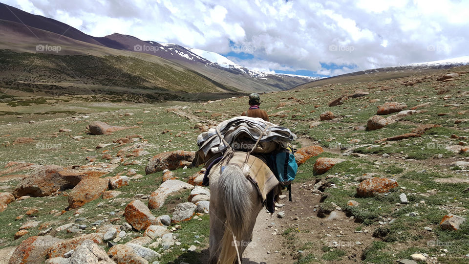 Horse ride in the Himalayas