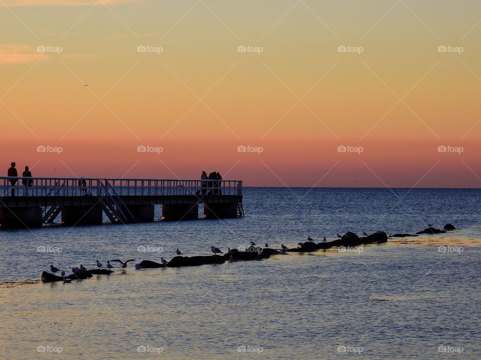 Jetty in late Summer light