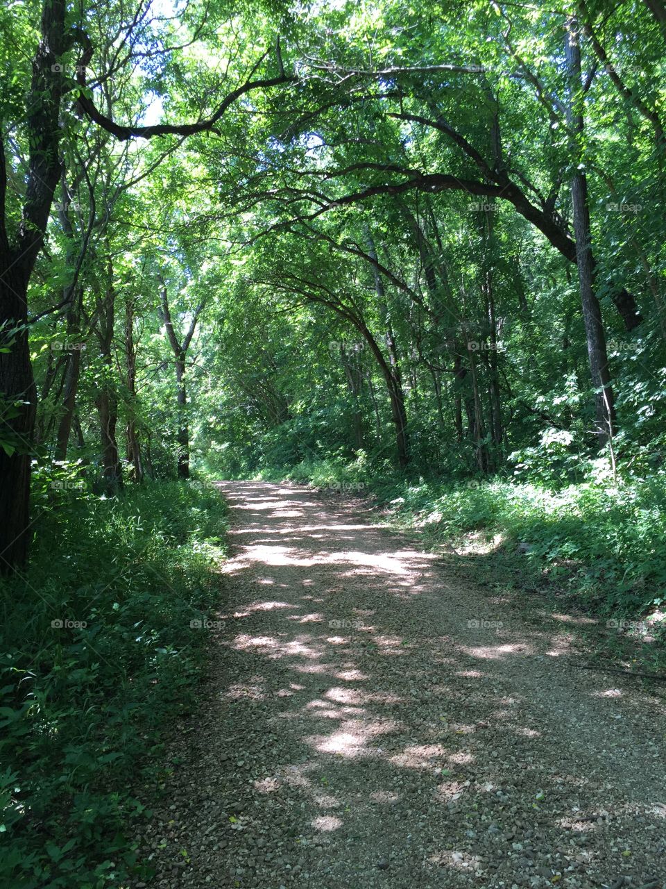 Country Road in the Missouri Ozarks