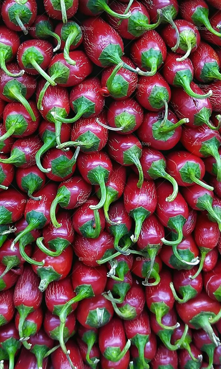 Red Chillis