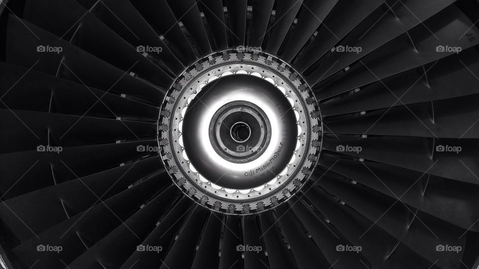 Jet engine fan blades