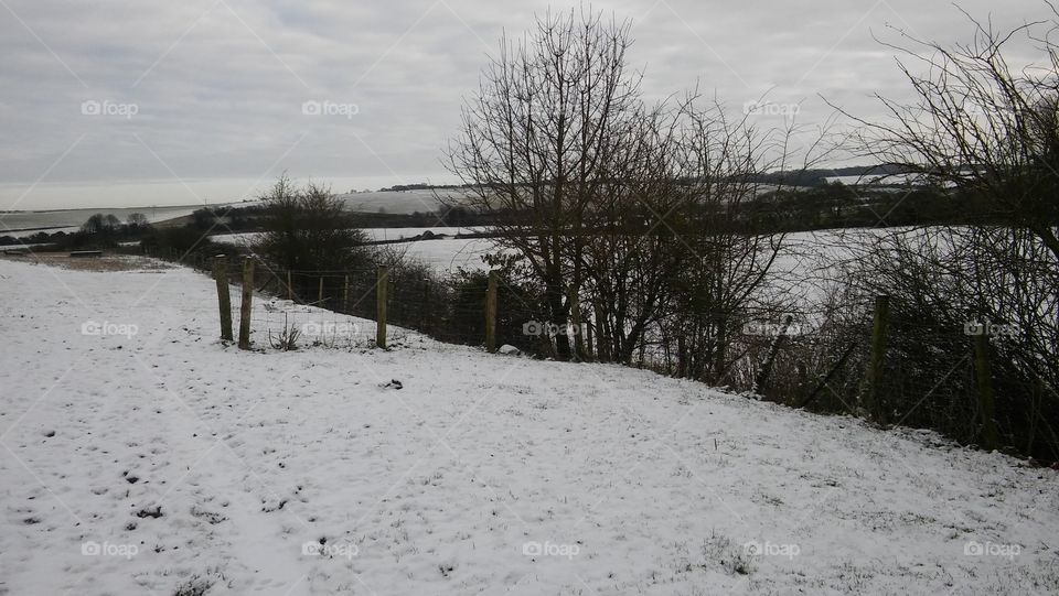 Countryside Snow