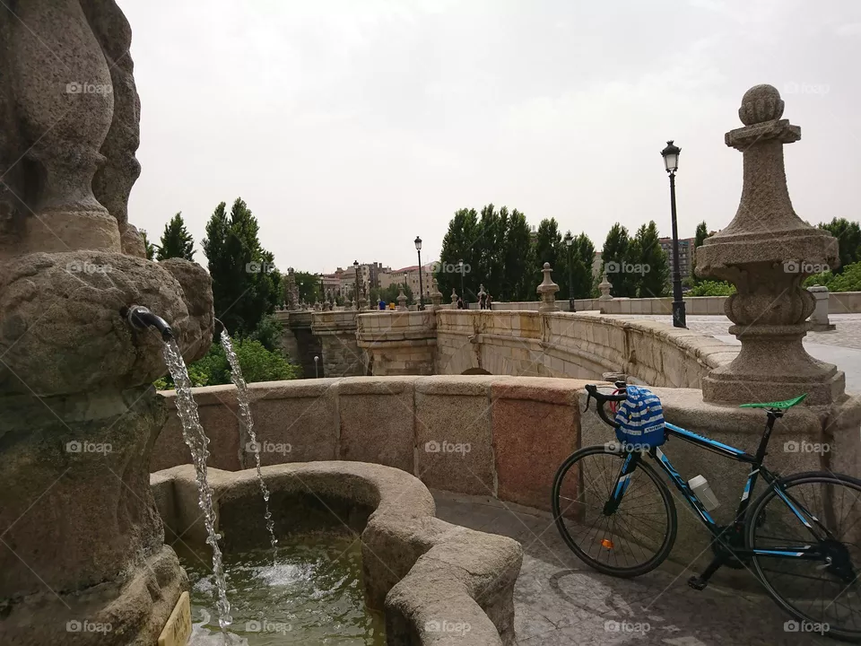 El paisaje de parque 
