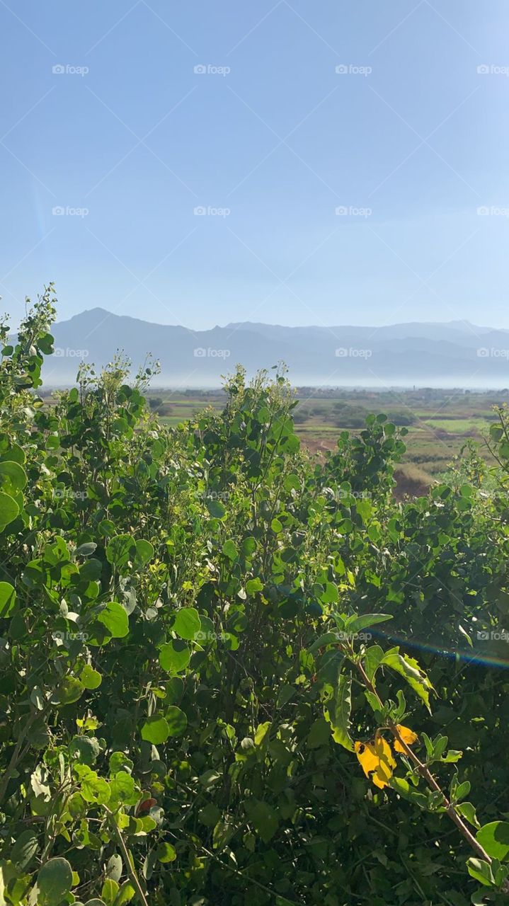 mmmhmm2001@gmail.com