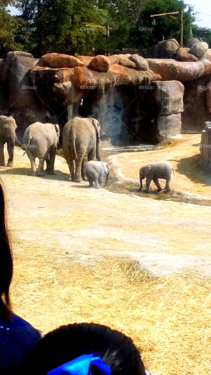 What makes you smile?