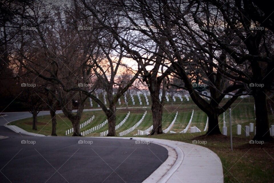 Arlington cemetery