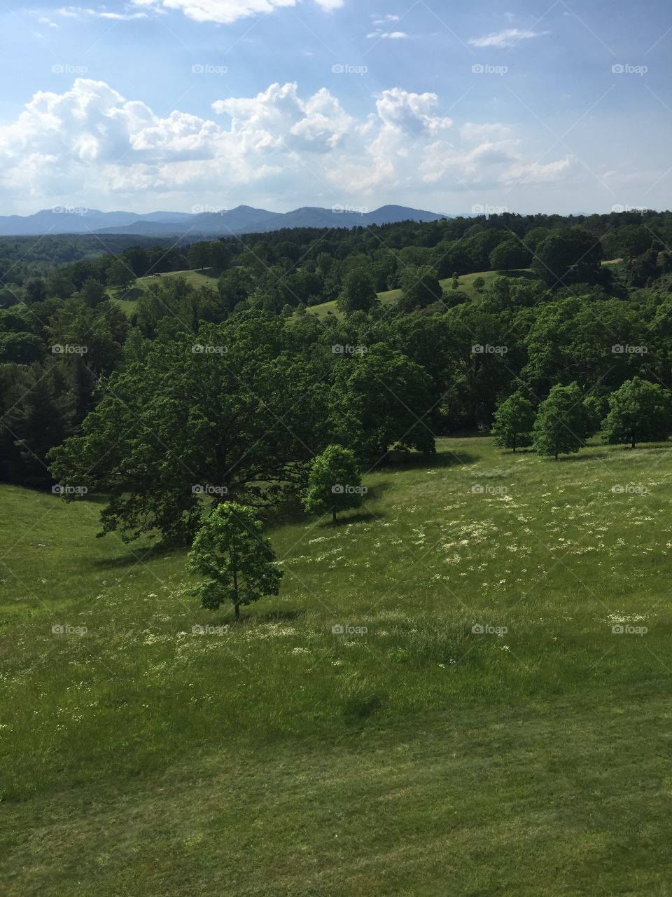 Land and Sky