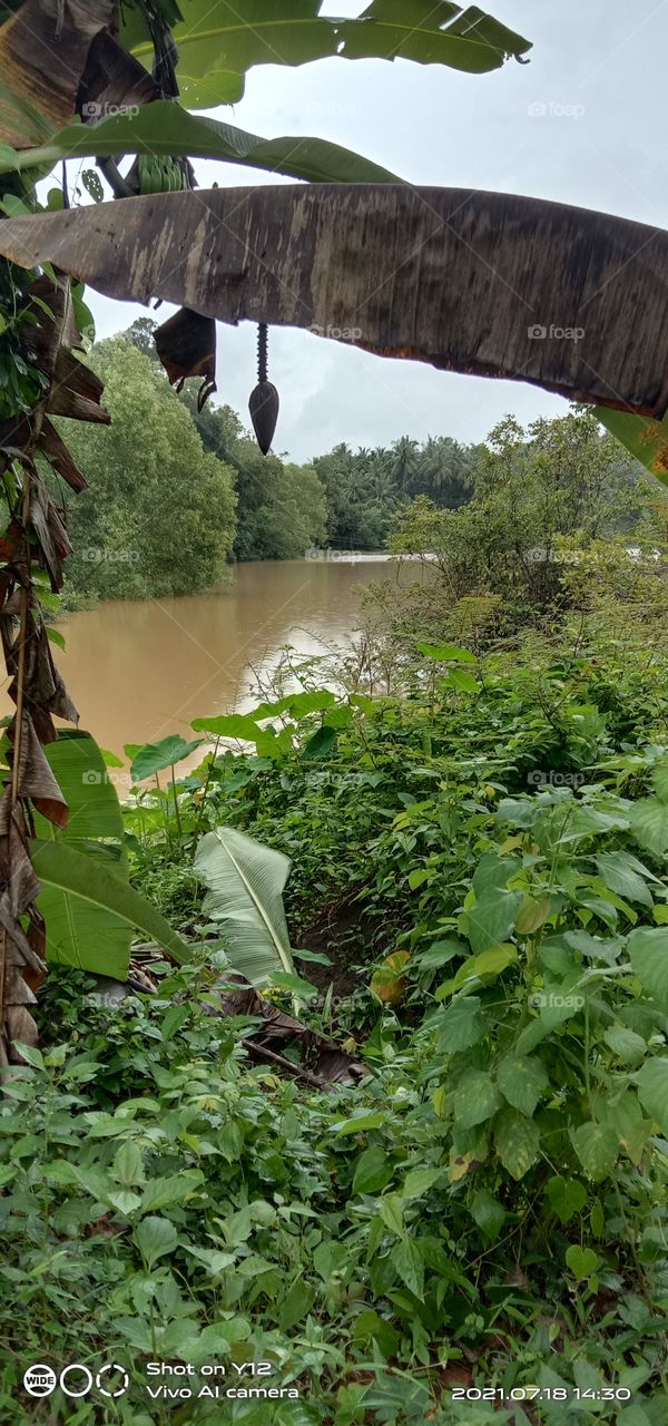 true nature, no filter