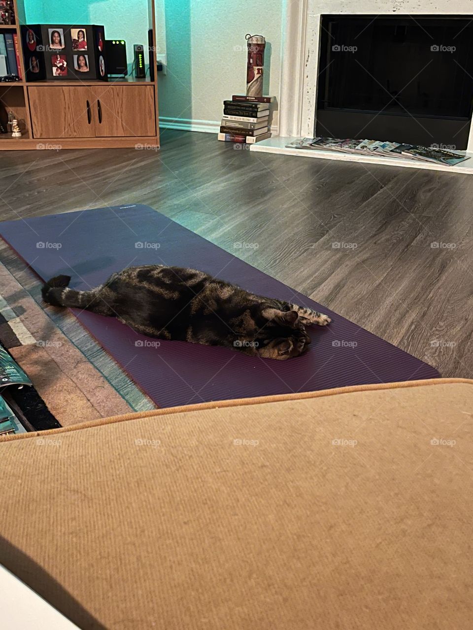 Cat on a purple exercise mat.