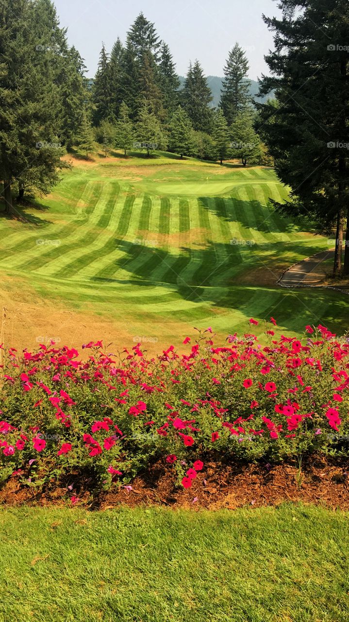 Hole #17, Par 3, Gold Mountain, Cascade Course