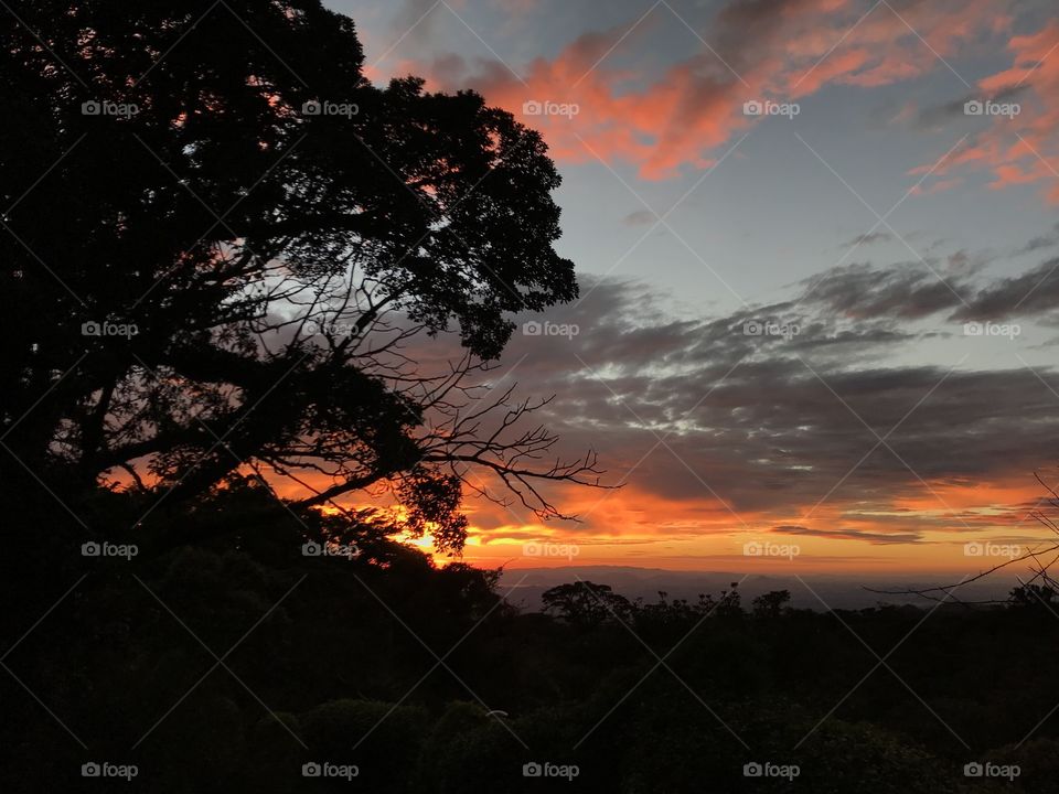 Monteverde 